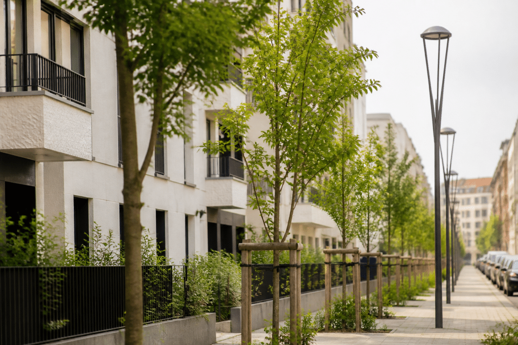 Facades renovees, arbres nouveaux, lampadaires modernes urbains